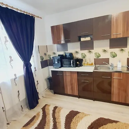 Apartment Cosmin