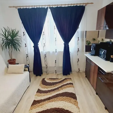 Apartment Cosmin