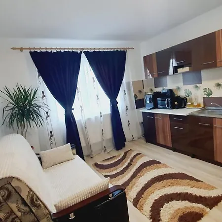 Apartment Cosmin *