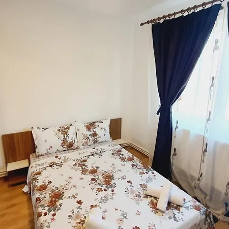 Apartment Cosmin