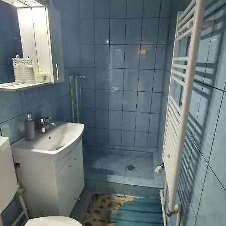 Apartment Cosmin Orsova