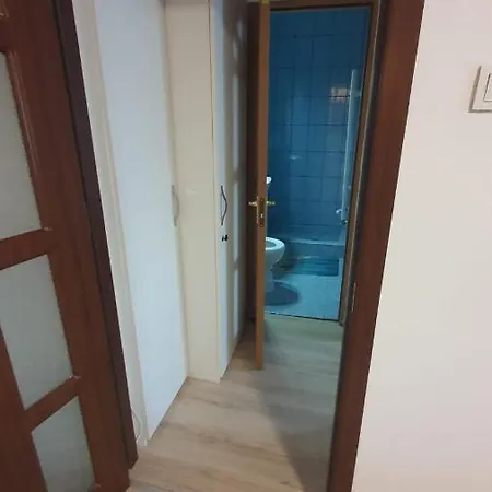 Apartment Cosmin